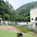 와보라 펜션 | [남양주 소소온기]애견펜션 애견수영장 내돈내산 솔직후기 기록남기기