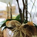 라라하우스 이미지