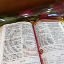 천사카롱 | [전주 마카롱 맛집 추전] 평화동 천사카롱 달달구리 먹방 후기