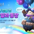 펫클래식 이미지