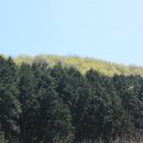 아리숲펜션 이미지