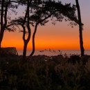 호텔캄캄 이미지