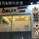화이트펫# 이미지
