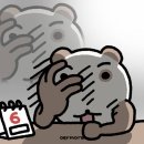 (주)아성다이소 부산초읍점 | 5개월 하고도 며칠남음