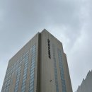 한국전견국연맹 | 신논현역 노보텔 앰배서더 강남 홍보각 주말 디너 후기