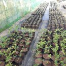 경기종묘사 이미지