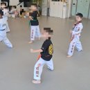 단국대 라이온태권도장 이미지