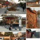 공방 나른한강아지 이미지