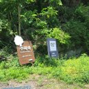 모더니컬 이미지