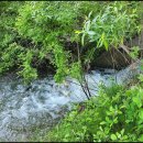 곡성-189 이미지