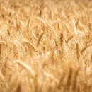 공이2 경로당 이미지