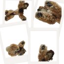 소노캄 고양 | 일산 반려동물 사진관 펫부스 PETBOOTH | 소노캄 고양 셀프 촬영 후기