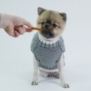 시골어부협동조합 이미지