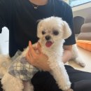 로엘유치원 이미지