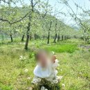 사과나무어린이집 이미지