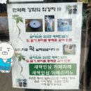 불광인삼