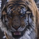 대호자원 이미지