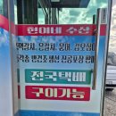 📌 고흥 반건조 생선 단골집 현이네 수산 방문 후기