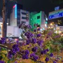 미르밀옥류관인후점 이미지