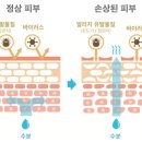 베르니포레의원 네이버블로그
