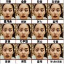 김태희사과
