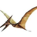 프테라노돈 이미지