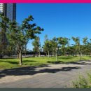 더베스트 힐링타운 이미지