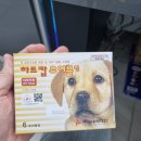 솔모루약국 이미지