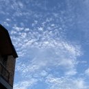 피제이피자(소사역곡점) 이미지