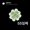 3교대 직장인 다이어트 마운자로 5mg 55일차 회식 술 먹고 +1.1kg 후기