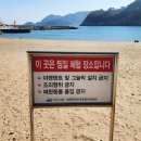 방죽포해수욕장(송림) 이미지