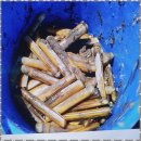 캐러가까 이미지