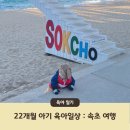 원암어린이집 | 22개월 아기 육아 일상 (ft. 아기랑 속초 여행 맛집 추천)