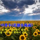 화발다풍우(花發多風雨) : 꽃이 필때는 비바람이 많다. 이미지