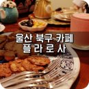 플라로사 이미지