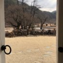 싸복싸복 이미지