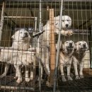 서명농장 이미지