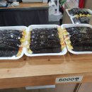 선비꼬마김밥 티스토리