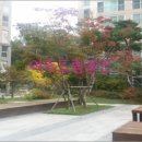 김비뇨기과의원 이미지