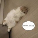 청춘술집 이미지