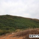 민둥산산마루시루봉펜션 이미지