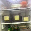 트리트멍멍 이미지