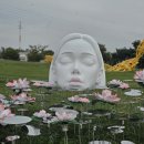 달성 대구현대미술제 이미지