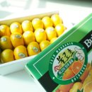 영생농장 이미지