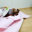 송이경로당 이미지