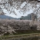 현충탑 | 하남 검단산 등산 후기(현충탑 - 곱돌약수터 코스) / 검단한우소머리곰탕