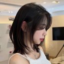담따 이미지