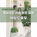 웨딩 사진 사설 보정 업체 추천 후기 가성비 긴급보정 웨딩드로우