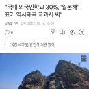 "국내 외국인학교 30%, '일본해' 표기 역사왜곡 교과서 써" 이미지