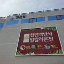 팔공컷트